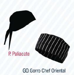 GCCCSTCOJ Gorro Y Paliacate